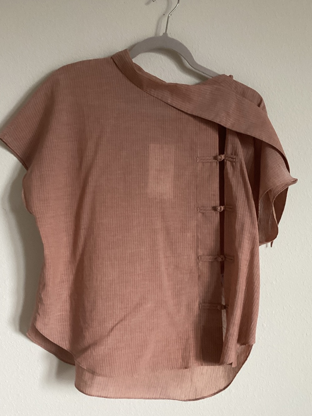 Zara Short-Sleeve Sheer Blouse in Dusty Rose